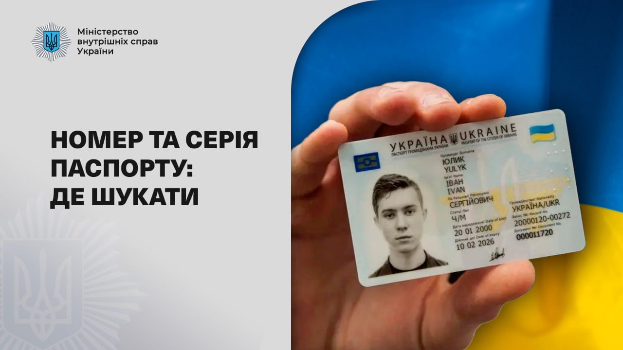 Серия паспорта: где искать и что писать