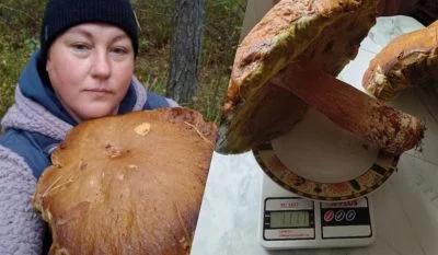 Волынчанка нашла десять грибов-великанов: один весил более килограмма